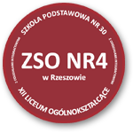 ZSO4 Logo